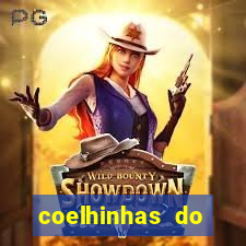 coelhinhas do brasil recife